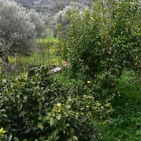 Naxos Filoti Beautiful Apartment With Amazing View Apartamento