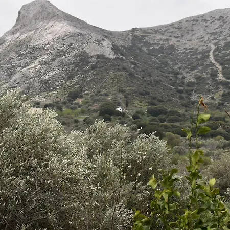 Apartment Naxos Filoti Beautiful Apartment With Amazing View